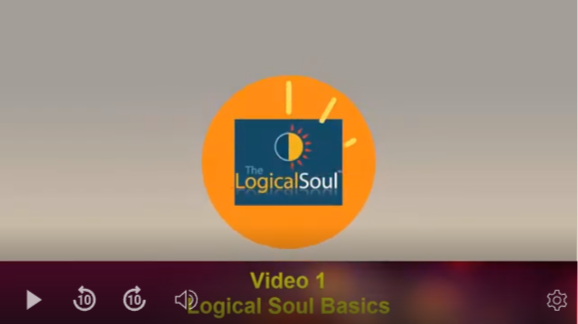 Logical Soul: How It Works